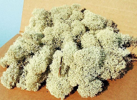 HEK3212 - Natural lichen 30 g - 1