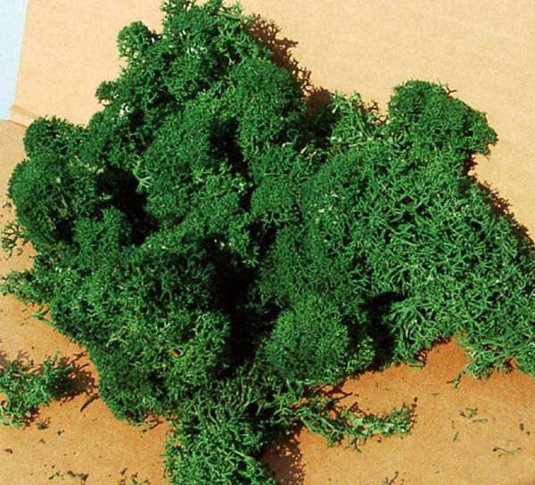 HEK3220 - Dark green lichen 75 g - 1