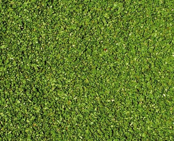 HEK3398 - Vine leaf flock - 200 ml - 1