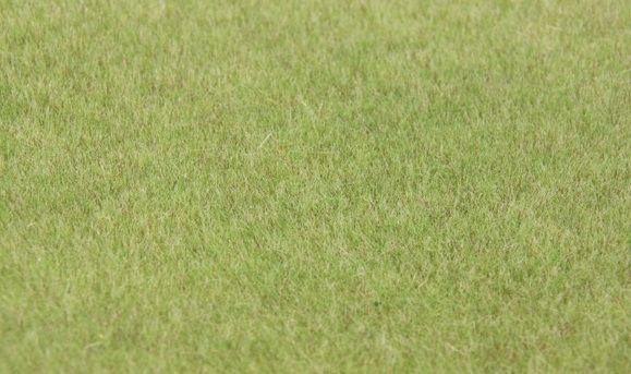 HEK33541 - Grass flocking 75 g. 5-6mm - 1