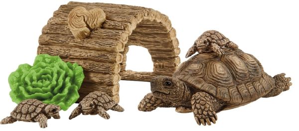 SHL42506 - Turtle house - 1