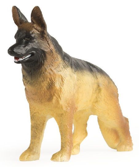 ERT46531 - German shepherd - 1