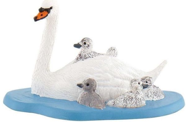 BUL62322 - Swan family - 1
