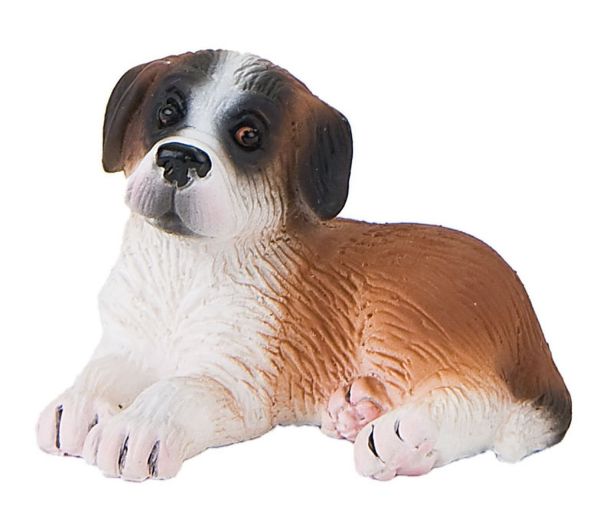 BUL65431 - St Bernard Puppy - Lying Down - 1