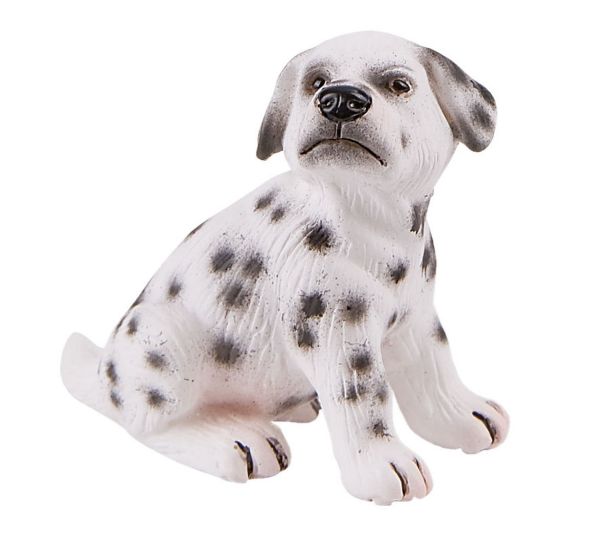 BUL65426 - Dalmatian puppy - 1