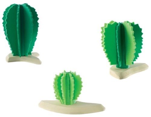 BUL81087 - Group of Cactus - 1