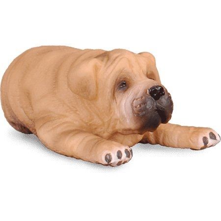COLL88194 - Sharpei Puppy Lying - 1