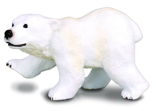 COLL88215 - Teddy bear - 1