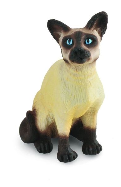 COLL88331 - Cat Siamese Sitting - 1