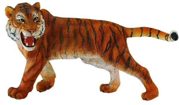 COLL88410 - Tiger - 1