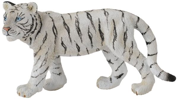 COLL88429 - White Tiger walking - 1