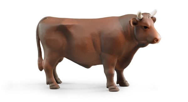 BRU2309 - Taurus marron - 1