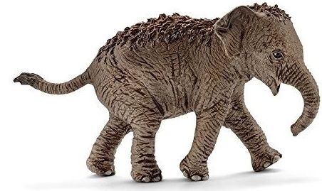 SHL14755 - Asian Baby Elephant - 1