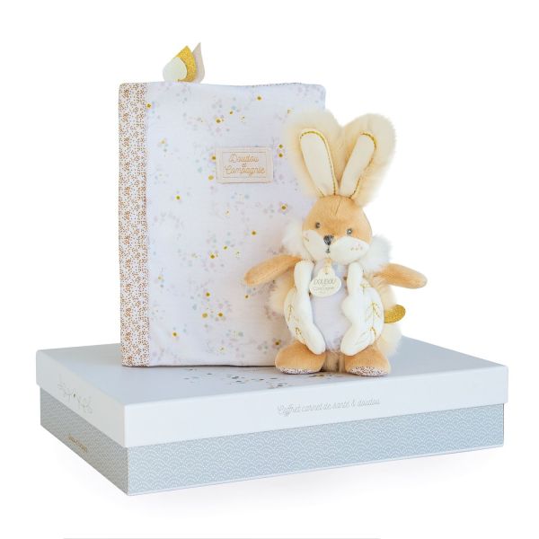 DC3497 - White sugar bunny - Box protects health book with blanket - 1