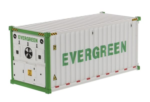 DCM91026A - Container 20 Feet White EVERGREEN - 1