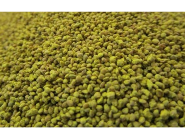 JUW23304 - 100g Bag of CORN Kernels - 1