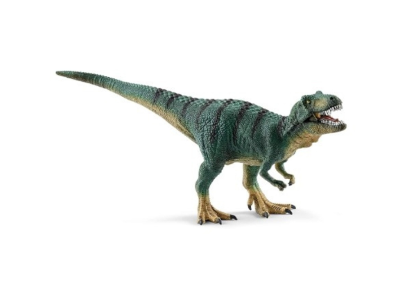 SHL15007 - Young Rex Tyrannosaurus - 1