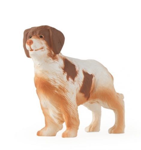 ERT46530 - Brittany Spaniel - 1