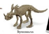 GEOCL3201A - Dinosaur Skeleton - Styracosaurus - 1