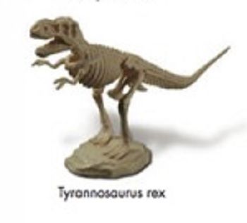 GEOCL3201B - Dinosaur Skeleton - Tyrannosaurus Rex - 1