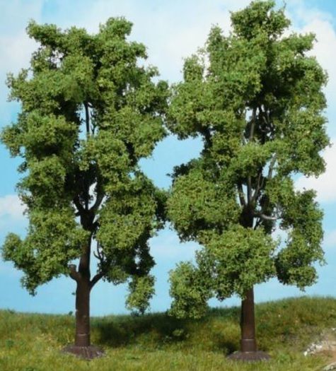 HEK1707 - Set of 2 Ash trees 19 cm - 1