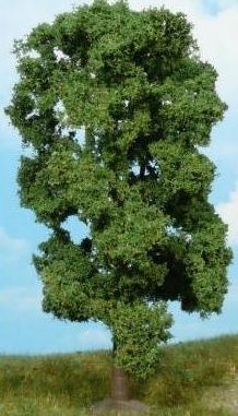 HEK1910 - Linden 18 cm - 1