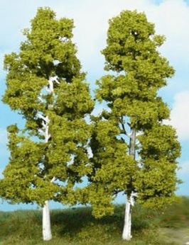 HEK1920 - 2 Birch trees 18 cm - 1