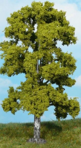 HEK1923 - Birch tree 18 cm - 1
