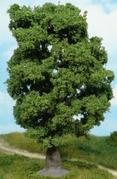 HEK1940 - Oak 18 cm - 1