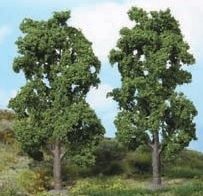 HEK1980 - 2 chestnut trees 20 cm - 1
