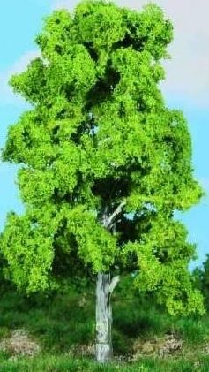HEK1986 - Birch tree 20 cm - 1
