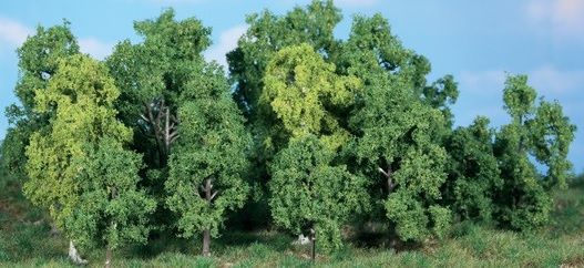 HEK1992 - 14 Deciduous trees 5-12 cm - 1