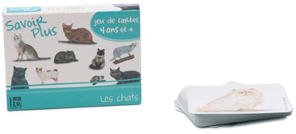 HEN21300193 - Game of knowledge-Cats - 1