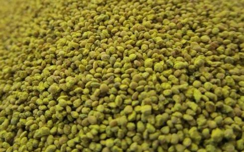 JUW23304 - 100g Bag of CORN Kernels - 1