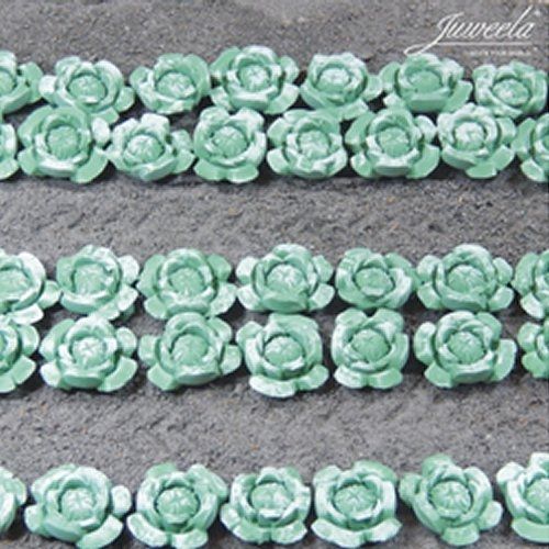 JUW23363 - 36 Cabbages/Salads - 1