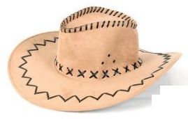 LP00008 - Cowboy Beige Hat - 1
