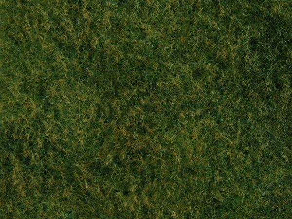 NOC07280 - Wild grass foliage, light green 20 x 23 cm - 1