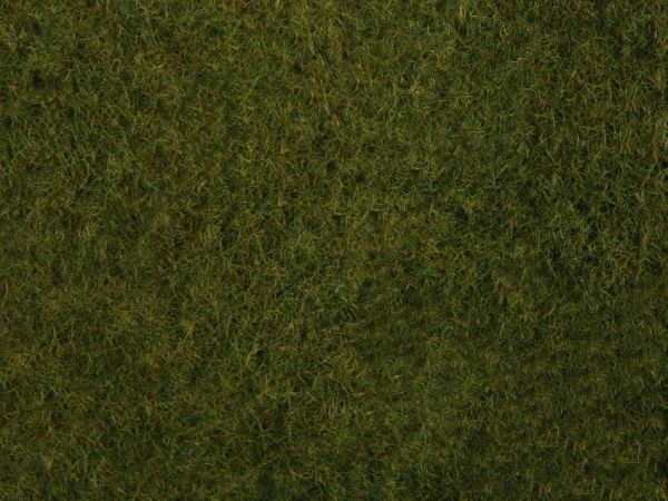 NOC07282 - Foliage of wild grass, dark green 20 x 23 cm - 1