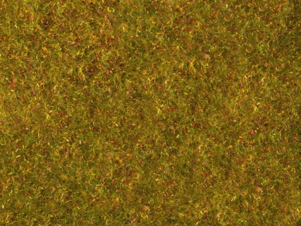 NOC07290 - Meadow foliage, yellow-green 20 x 23 cm - 1