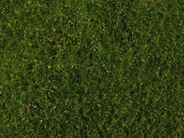 NOC07291 - Meadow foliage, medium green 20 x 23 cm - 1