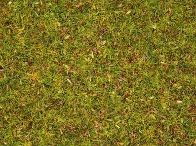 NOC08330 - Grass with flowers - 2.5 mm - 20 g - 1