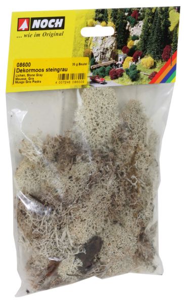 NOC08600 - Lichen stone gray - 1
