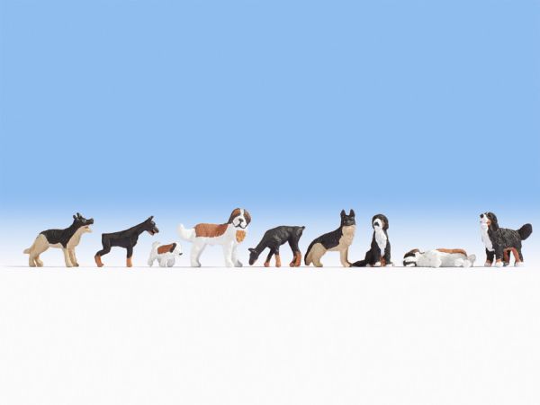 NOC15717 - Lot of dogs - 1