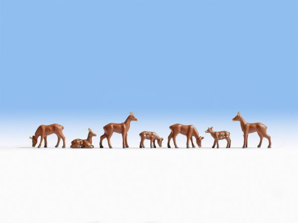 NOC15740 - Roe deers - 1