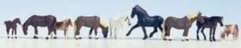 NOC15761 - 9 horses - 1