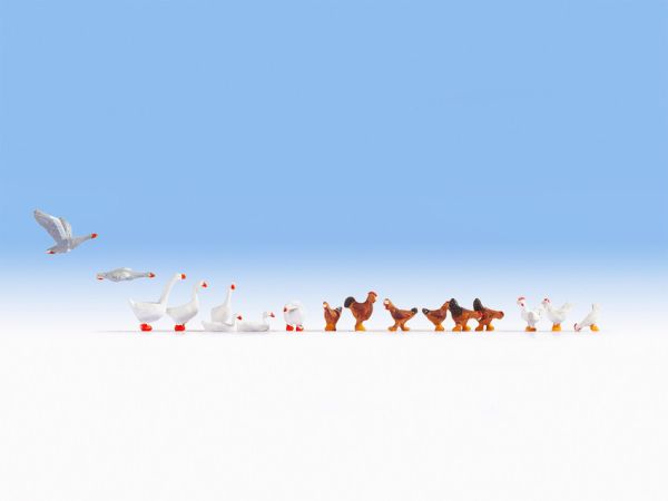 NOC15772 - 8 geese and 9 chicken - 1