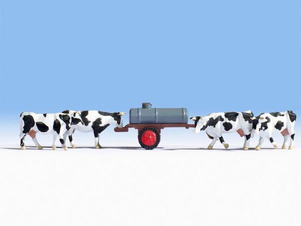 NOC16658 - 4 cows with water trailer - 1