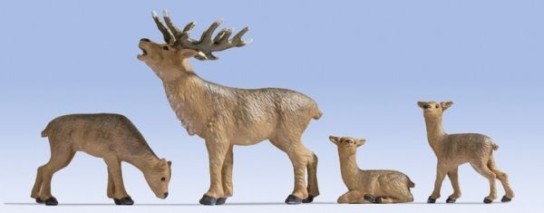 NOC17902 - deer - 1