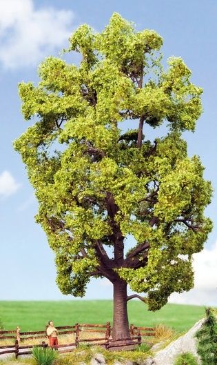 NOC21781 - Linden 18.5 cm - 1