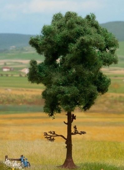 NOC21914 - Pine 15 cm - 1
